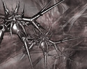 NetWork (46)