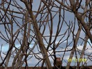 100_7968