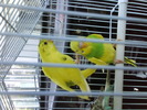 DSC00294