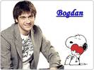 COSMIN