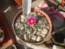 DSCF0727