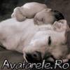 www_avatarele_ro__1225787969_421586