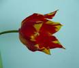 P1110510