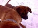 Tessa 15 luni Pacco 20 luni