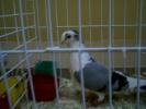 IMAG010