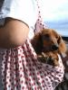 from_220_ro_16257