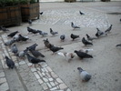 DSCN0158