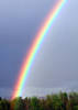 rainbow-too