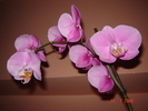 DSC02570