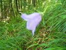 DSCF2004
