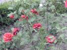 PICT0160
