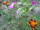 PICT0042