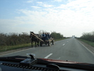 Picture 073
