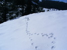 DSCF6958