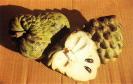 cherimoya