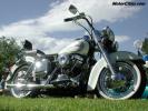 75HARLEY-DAVIDSONAMFFLHWHITE1024D