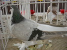 DSCN0183