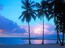 St. Anne Beach - Guadeloupe, Caribbean Islands