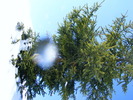 DSCF6934