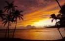 booking the best hawaii travel