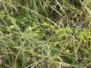 DSCN0259