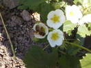 Fotografii-0050