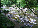 DSCF5113