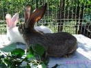 Picture 020