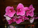 DSC02578