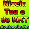 nivelul tau e de kkt