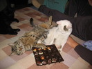 23 dec 2007 031