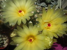 DSCF0519