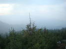 DSC00377