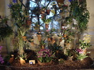 DSC00820