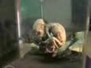images11