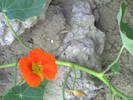 PICT0028