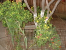 DSC09819