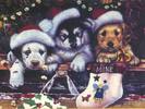 Christmas Wallpapers (171)