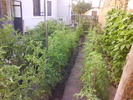 DSC05410
