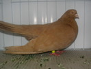 SANY0092