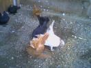 picture0012
