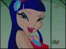 winx (5)