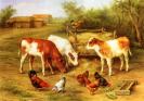 Hunt_Edgar_Calves_And_Chickens_Feeding_In_A_Farmyard