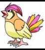 CAWCVO57CAGUBDFVCA6LTX7ICA14PQDTCAAH226NCAKLO99ICANFOTRPCA9I6QDSCA3BBBC3CALM2XTTCA2DL46FCA0PBK2ACAQF