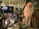 albus-dumbledore-harry-potter-wallpaper[1]