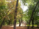 parcul Botanic