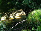 DSCF2654