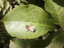 Fotografii-0060