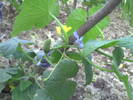 PICT0035
