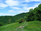 DSCF0613